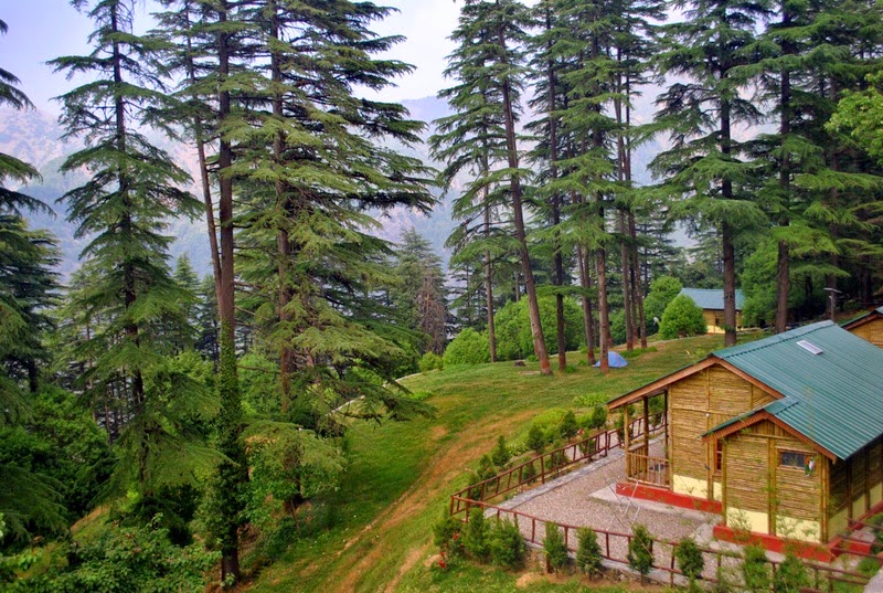  Dhanaulti-Serenity in the HImalayas